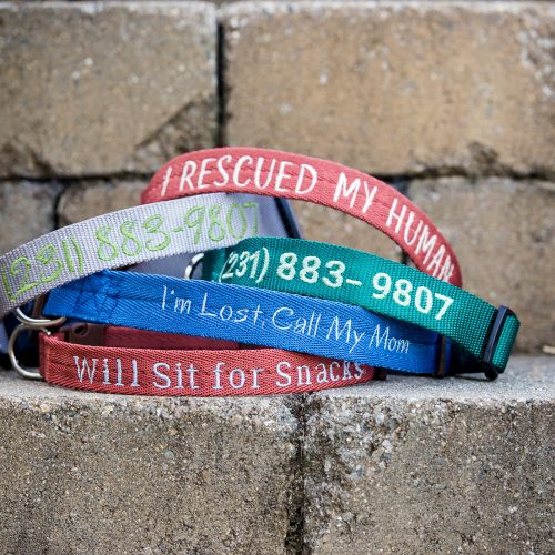 1001Collars2024sm